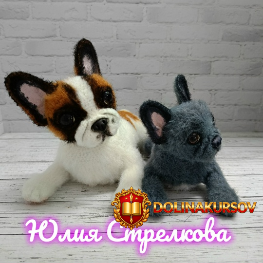 francuzskij-buldog-julija-strelkova.466798.jpg